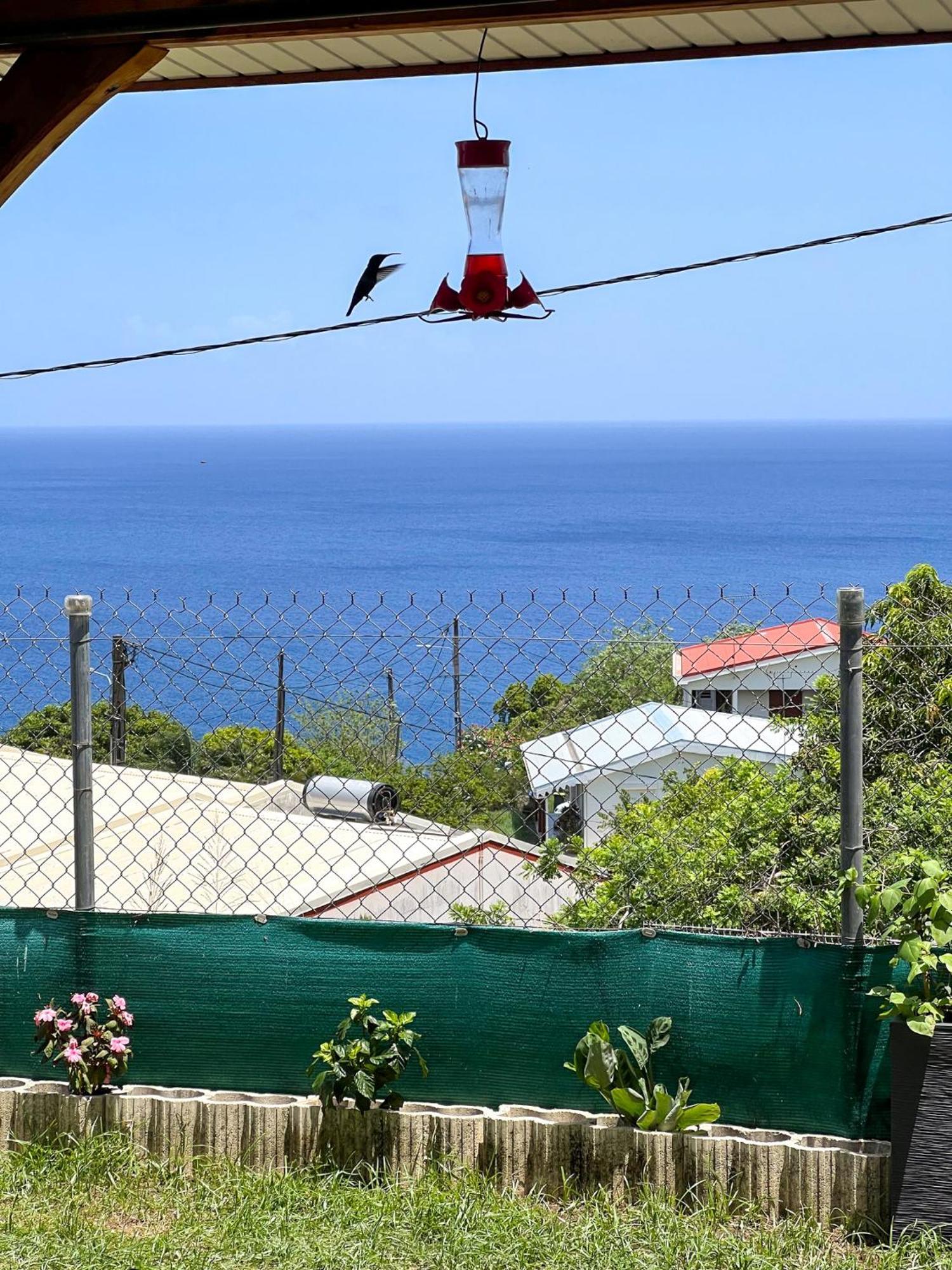 Villa Casa Francois Le Carbet Exterior foto